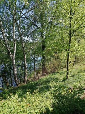 Фото номера Апартаменты с 2 спальнями Апартаменты Lakefront house in Senoji Varėna г. Варена 46