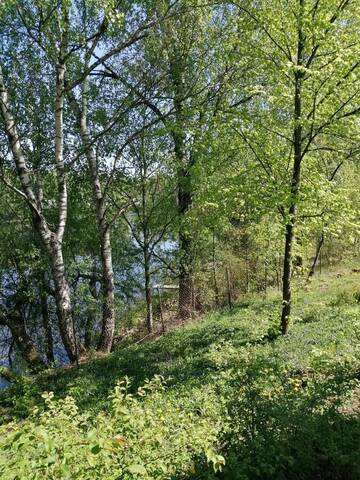 Фото номера Апартаменты с 2 спальнями Апартаменты Lakefront house in Senoji Varėna г. Варена 20