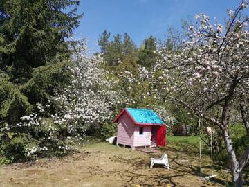 Фото номера Апартаменты с 2 спальнями Апартаменты Lakefront house in Senoji Varėna г. Варена 22
